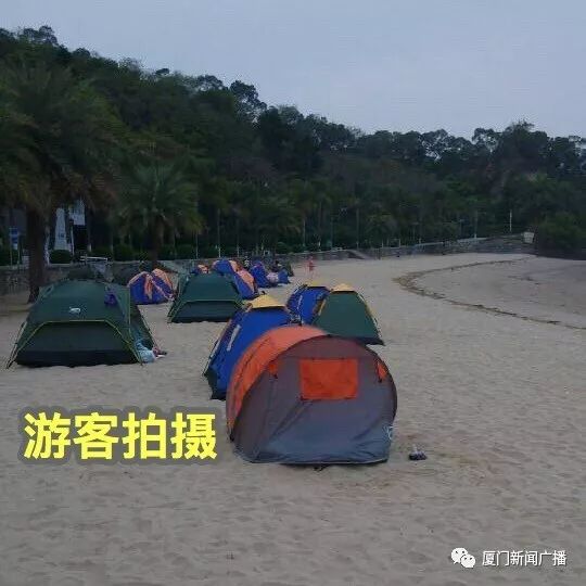 游戏专题 第224页