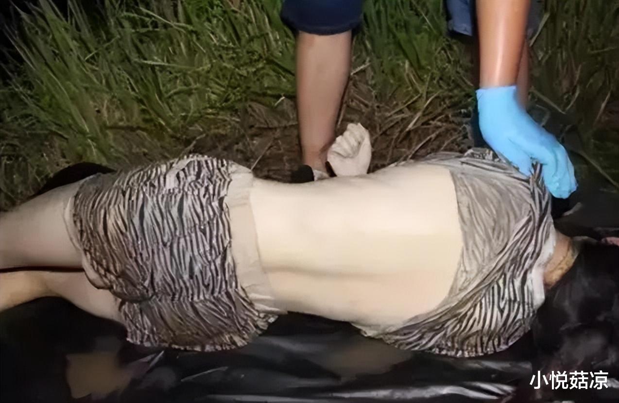 娱乐生活 第15页