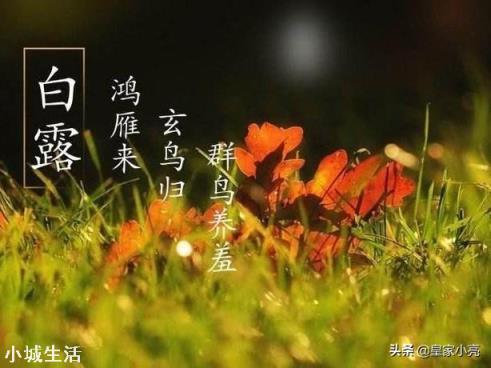 游戏专题 第4页