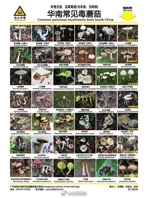2025版毒菌最新图鉴